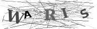 Please refresh your browser to see this image.